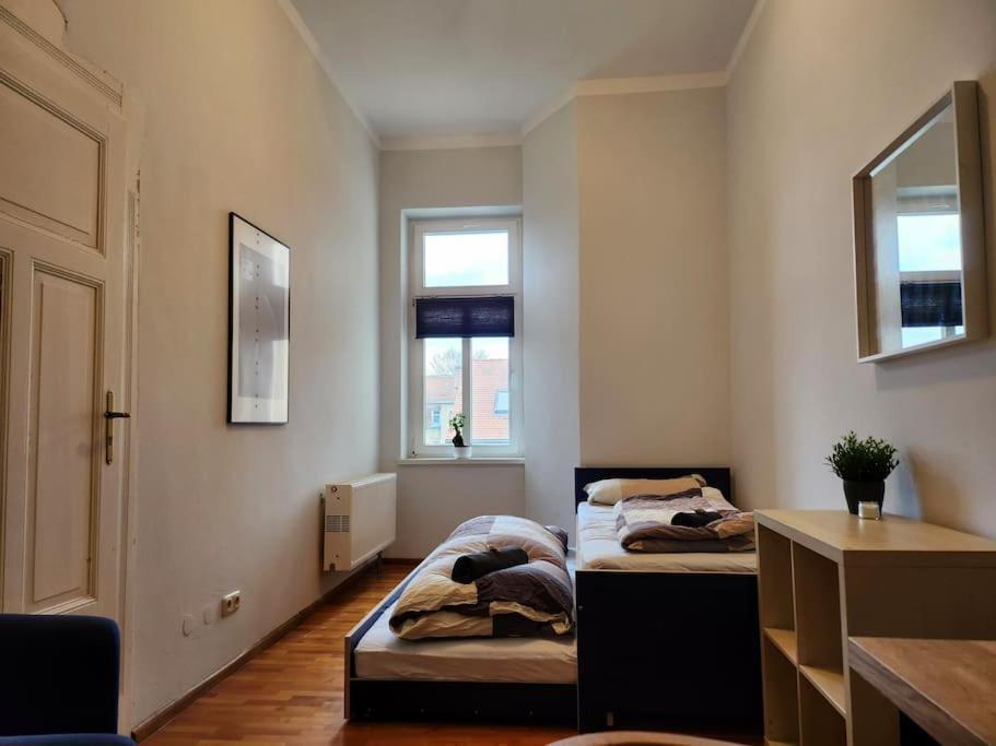 4 Raum Wohnung Mit Balkon Auf 120Sqm In Top Lage Дрезден Екстериор снимка